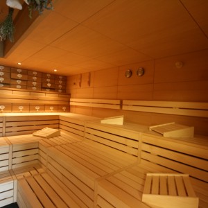bid2 sauna kraeuter beleuchtung modern bank banklatten profilholz bau anlage wellness bergland therme bad endbach fire ice sauna group