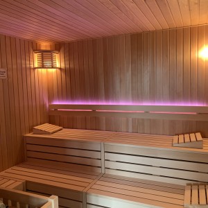 photo finnish sauna wooden benches lighting plant construction plant planning wellness spa furniture loungers sauna project tannenhof hotel feldberg fire and ice wellness spa group gmbh