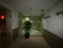 picture plunge pool facility construction wellness cabriosol pegnitz fire ice sauna group