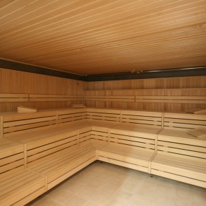bild sauna modern ofen kw bank anlage bau wellness donaubadn neu ulm fire ice sauna group