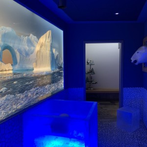 zdjęcie sauna centrum odnowy biologicznej budowa fontanna chłodząca kąpiel lodowa raj lodowa łąka Getynga ogień lodowa sauna grupa zdjęcie sauna centrum odnowy biologicznej budowa fontanna chłodząca kąpiel lodowa raj lodowa łąka Getynga ogień lodowa sauna grupa