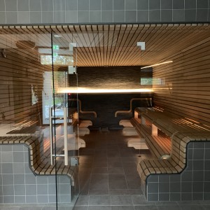 bild9 sauna beleuchtung verglasung bank geschwungen banklatten montage wellness anlage bau gerolsbad pfaffenhofen fire ice sauna group