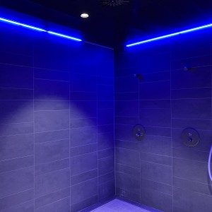 bild57 ducha ducha funcional iluminado luz moderno azul bienestar instalaciones construcción ocio piscina nautiland wuerzburg fuego hielo sauna grupo bild57 ducha ducha funcional iluminado luz moderno azul bienestar instalaciones construcción ocio piscina nautiland wuerzburg fuego hielo sauna grupo