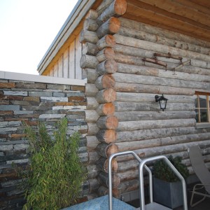 rennsteig therme oberhof facility wellness construction sauna offer planning fire and ice group bodenkirchen photo kelo stamm sauna house fire ice wellness facility construction rennsteig therme oberhof facility wellness construction sauna offer planning fire and ice group bodenkirchen photo kelo stamm sauna house fire ice wellness facility construction